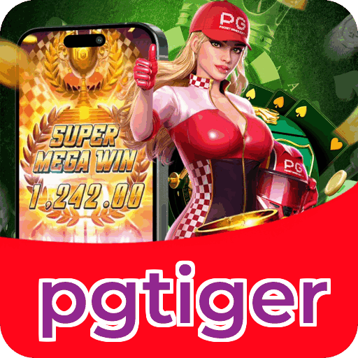 Métodos de pagamento aceitos na pgtiger